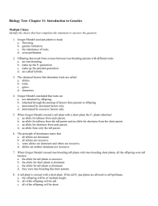 Biology Test- Chapter 11: Introduction to Genetics