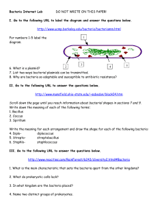 Bacteria Internet Lab