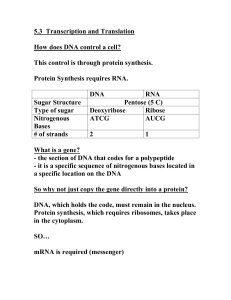 notes Protein_Synthe.. - hrsbstaff.ednet.ns.ca