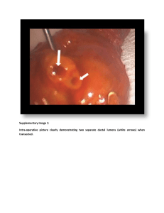 Supplementary Image 1: Intra-operative picture clearly