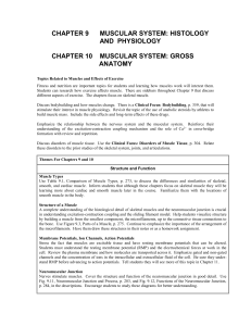 CHAPTER 9 MUSCULAR SYSTEM: HISTOLOGY