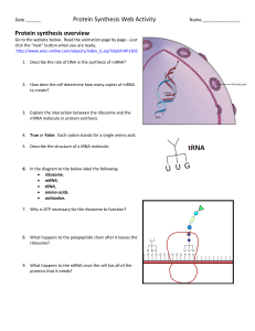 DNA WebQuest