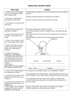 Respiratory System Notes Main Idea Details 1. What human body