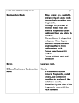 Cornell Notes Sedimentary Rock p