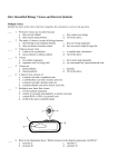 viruses-bacteria-int..