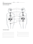 Block - TeacherWeb