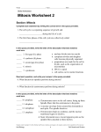 Mitosis Worksheet 2