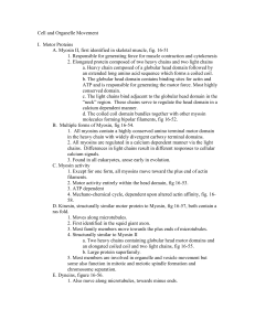 Cell and Organelle Movement