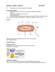 Biology 11 Notes: Kingdom Monera