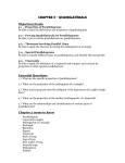 Chapter 5 Summary Sheet File