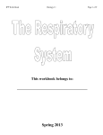 IPP Respiratory System - hrsbstaff.ednet.ns.ca