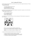 Unit 3: Evolution EOCT Review