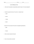 Chapter 38 Plant Reproduction