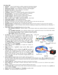 Chemistry Test #1 Study Guide © Chris Khan