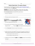 Student Exploration Sheet: Growing Plants