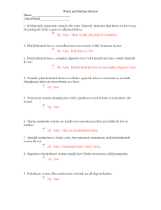 Worm and Mollusc Review Name: Class Period: 1. In bilaterally