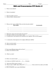 PPT GUIDE #5: RNA TRANSCRIPTION (Goes with