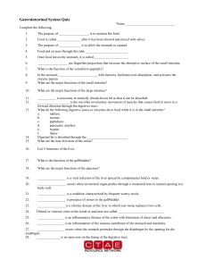 Gastrointestinal System Quiz