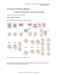 Cell Division, Chromosomes, and Inheritance Worksheet BIO/410