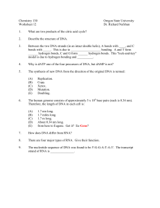 WS 12 - Department of Chemistry | Oregon State University