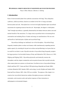 symbiotic mediators of rhizosphere and ecosystem processes