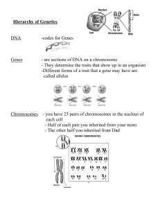 Hierarchy of Genetics