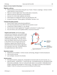 Characteristics of Living Things (Essay