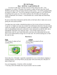 3D Cell Project