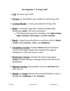 Investigation 1 “Living Cells”