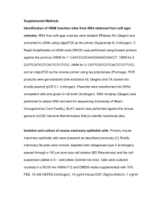 Supplementary Information 1 (doc 48K)