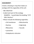 ASSIGNMENT: Create a drawing or map that makes an analogy with