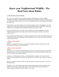 The Real Facts about Rabies