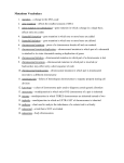 11 Mutations Vocabulary