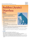 sudden_(acute)_diarrhea