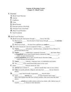 Biology 11 - Human Anatomy