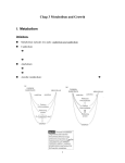 I. Metabolism