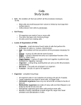 Cells Study Guide