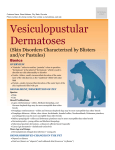 vesiculopustular_dermatoses