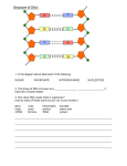 Genetics Basics