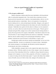 Essay on Agent-Principal Conflicts in Corporations