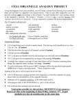 CELL ORGANELLE ANALOGY PROJECT RUBERIC