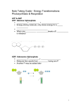 Note Taking Guide - Energy Transformations