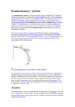 Somatosensory system