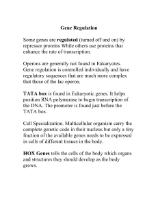 Gene Regulation