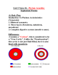 Unit 5 Notes #6 Segmented Worms - Mr. Lesiuk