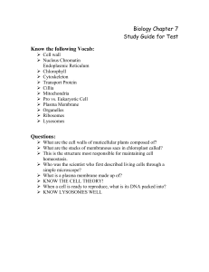 Biology Chapter 7