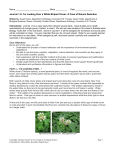 I`m Looking Over a White Striped Clover Case Study