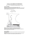 A2 Paper 2: HAZARDOUS ENVIRONMENTS