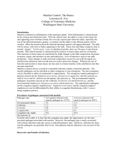 What is Mastitis? - University of Idaho