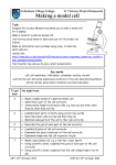 Yr-7-Science-Project-1-Oct-2011-Model